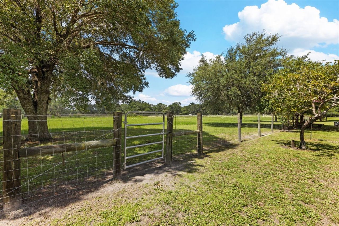 9897 NW 160 Avenue, Morriston, FL 32668 Photo