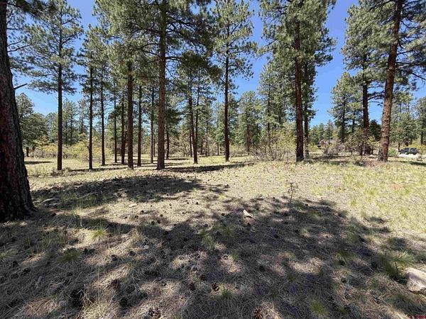 TBD Ventana Pass, Durango, CO 81301
