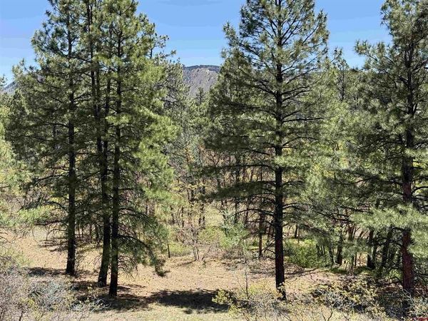 TBD Ventana Pass, Durango, CO 81301