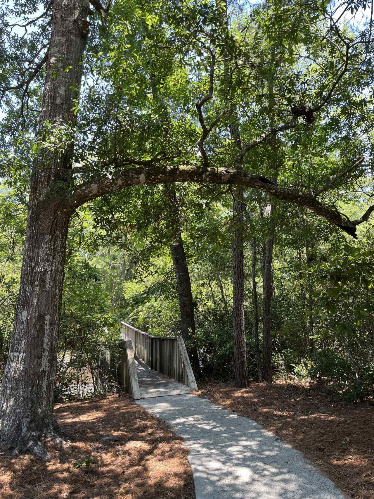 1551 Spinnaker Dr.  Photo 28