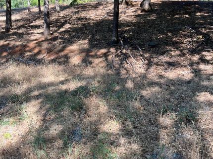 4625 W Rosarno Pl, Foresthill, CA 95631 Photo