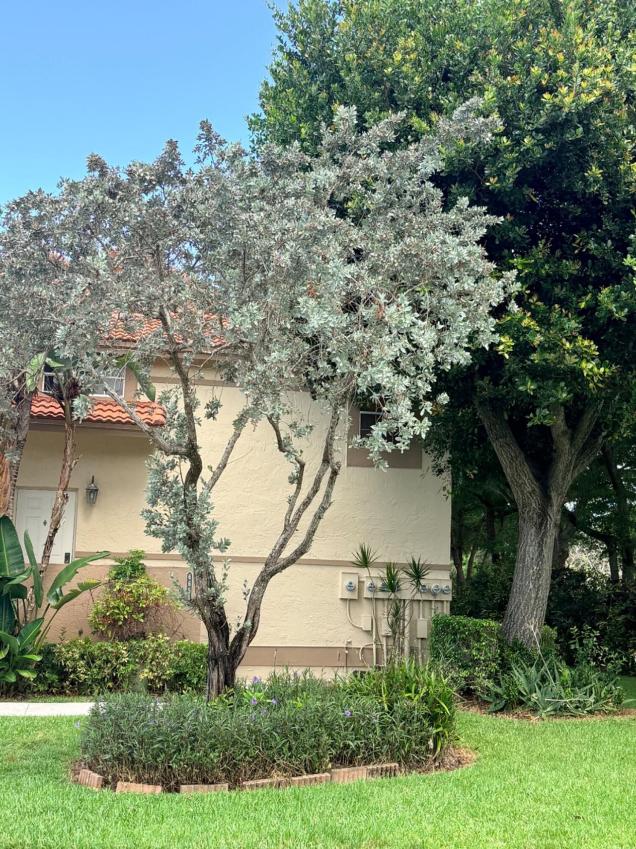 6654 Via Regina, Boca Raton, FL 33433 Photo