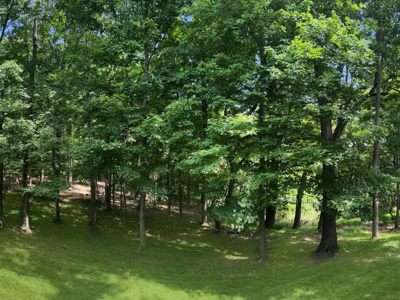 1600 Woodridge Drive, Newark, OH 43055 Photo 58