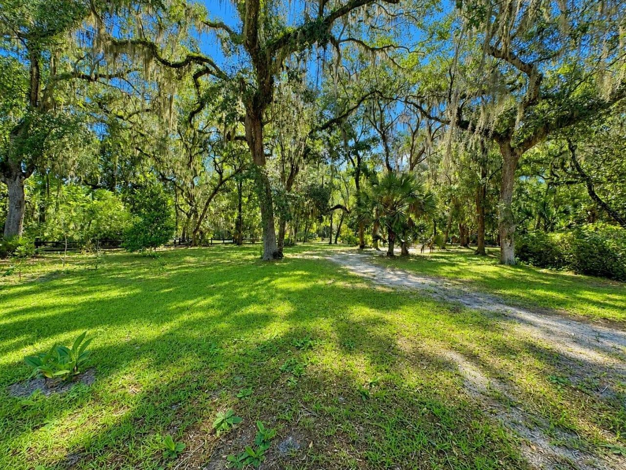 16758 SE 181st Terrace , Weirsdale, FL 32195 Photo