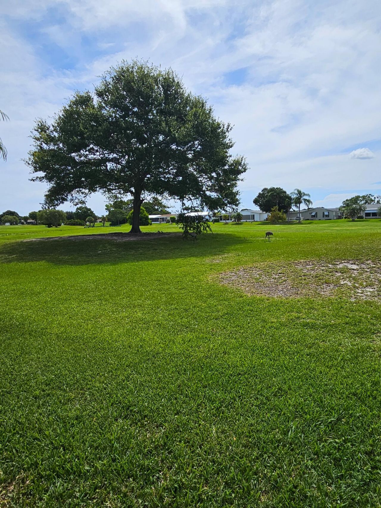 3229 Scarlet Tanager Court, Port Saint Lucie, FL 34952 Photo