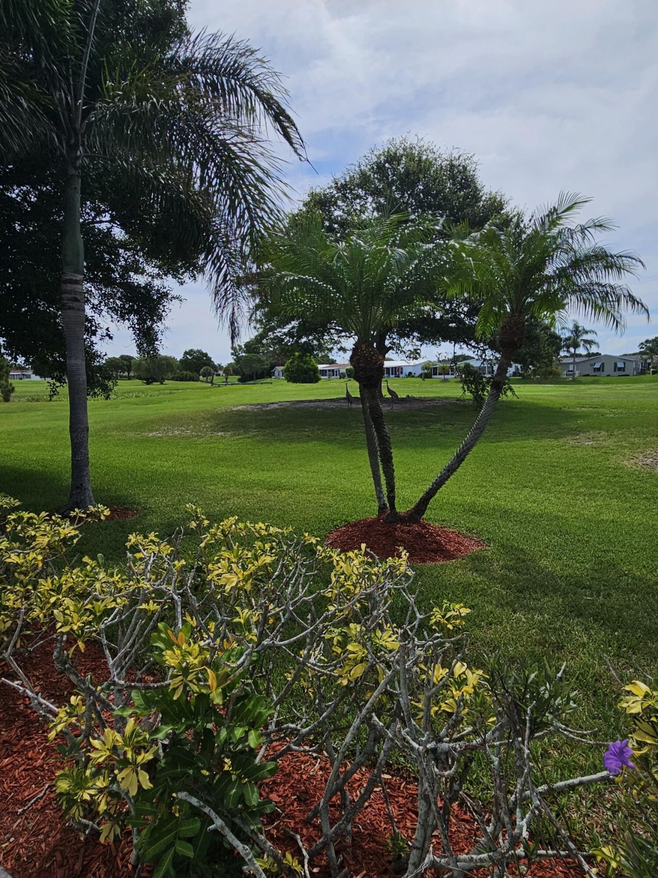 3229 Scarlet Tanager Court, Port Saint Lucie, FL 34952 Photo