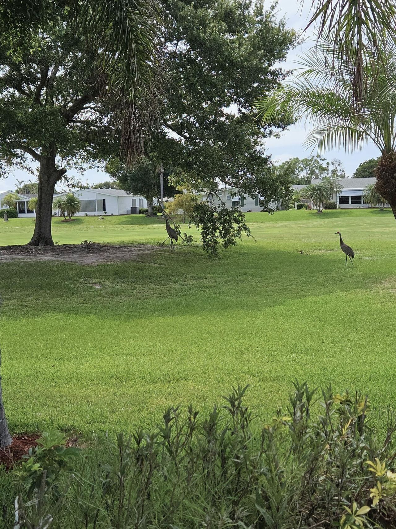 3229 Scarlet Tanager Court, Port Saint Lucie, FL 34952 Photo