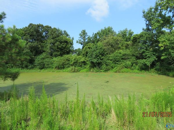 Tract 10 Brown Road, Boaz, AL 35957