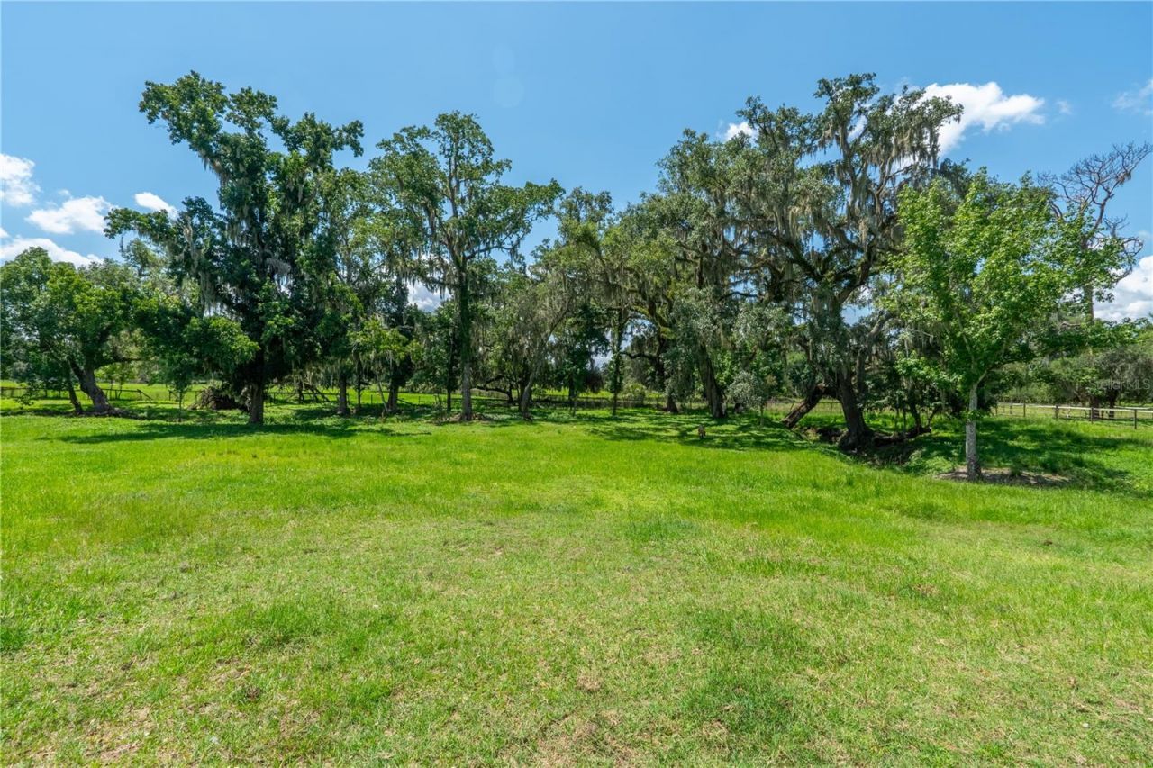 88 Culbreath Road, Brooksville, FL 34602 Photo