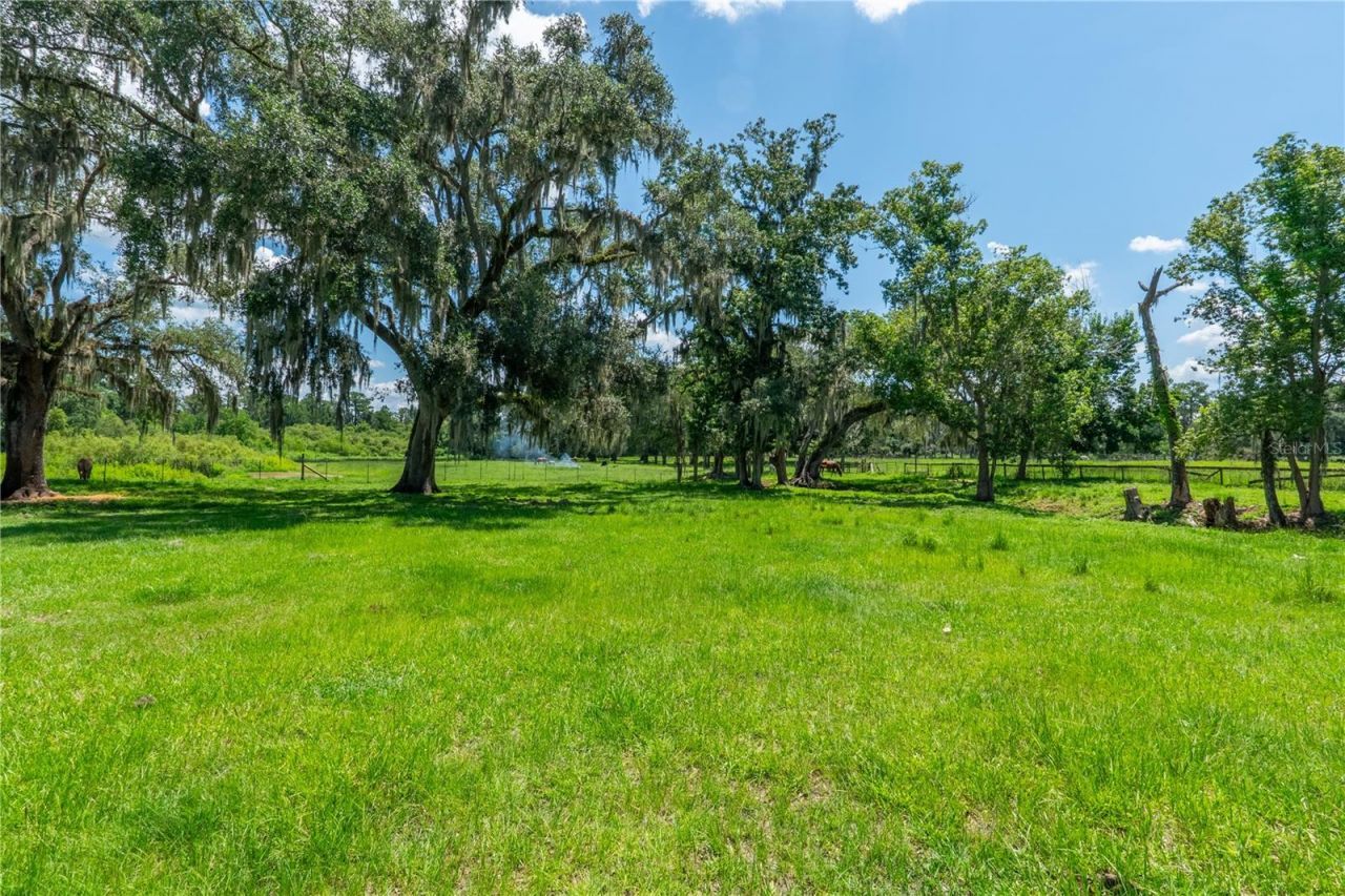 88 Culbreath Road, Brooksville, FL 34602 Photo