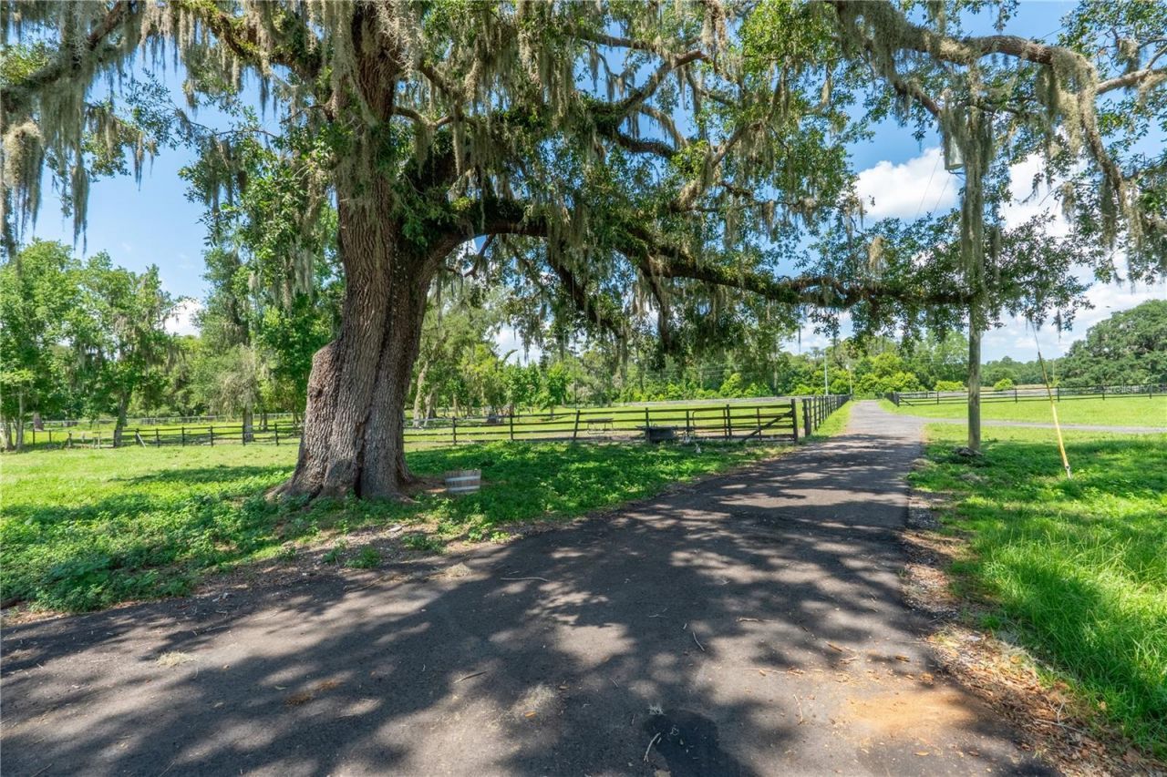 88 Culbreath Road, Brooksville, FL 34602 Photo