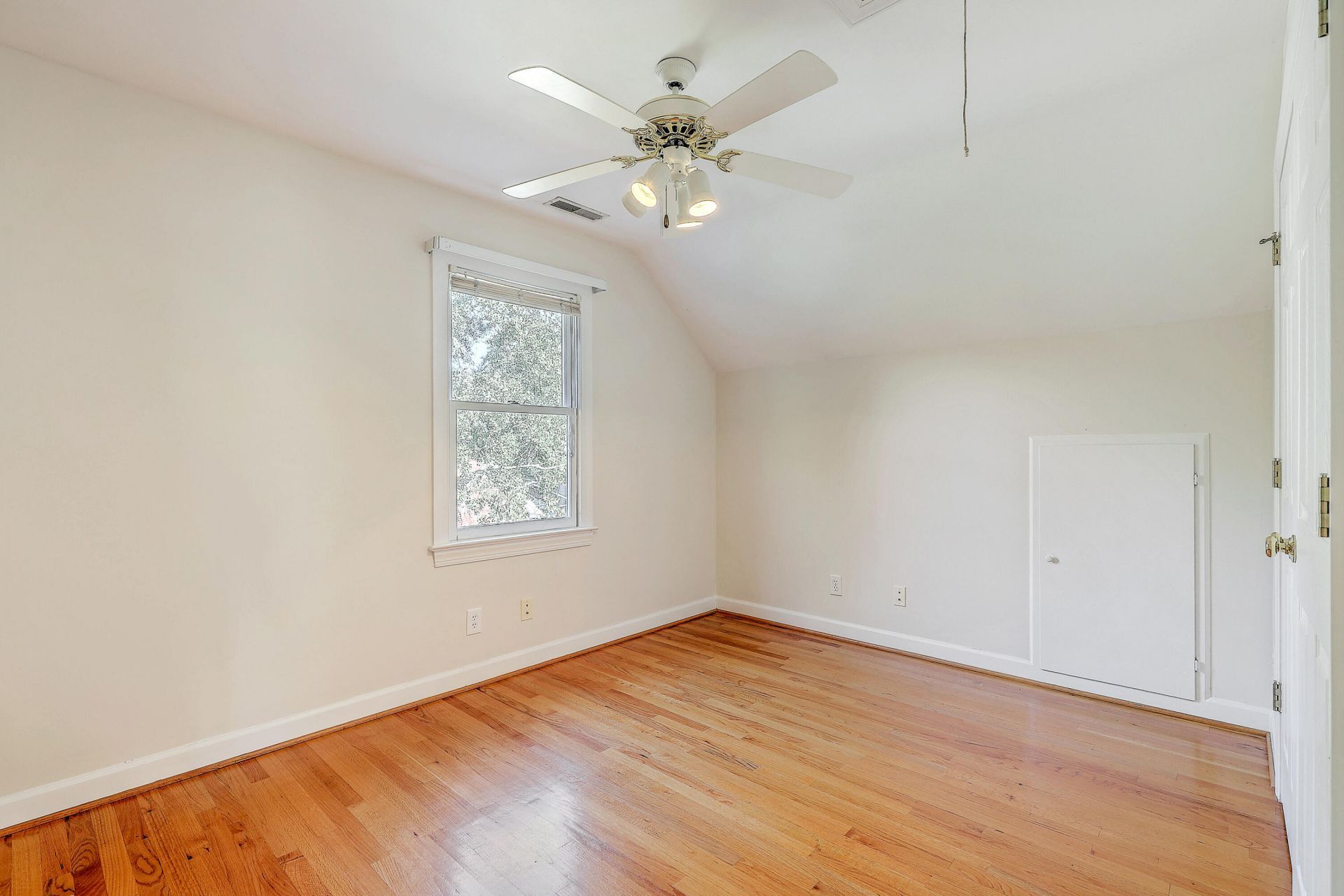 317 Rutherford Street Photo 36