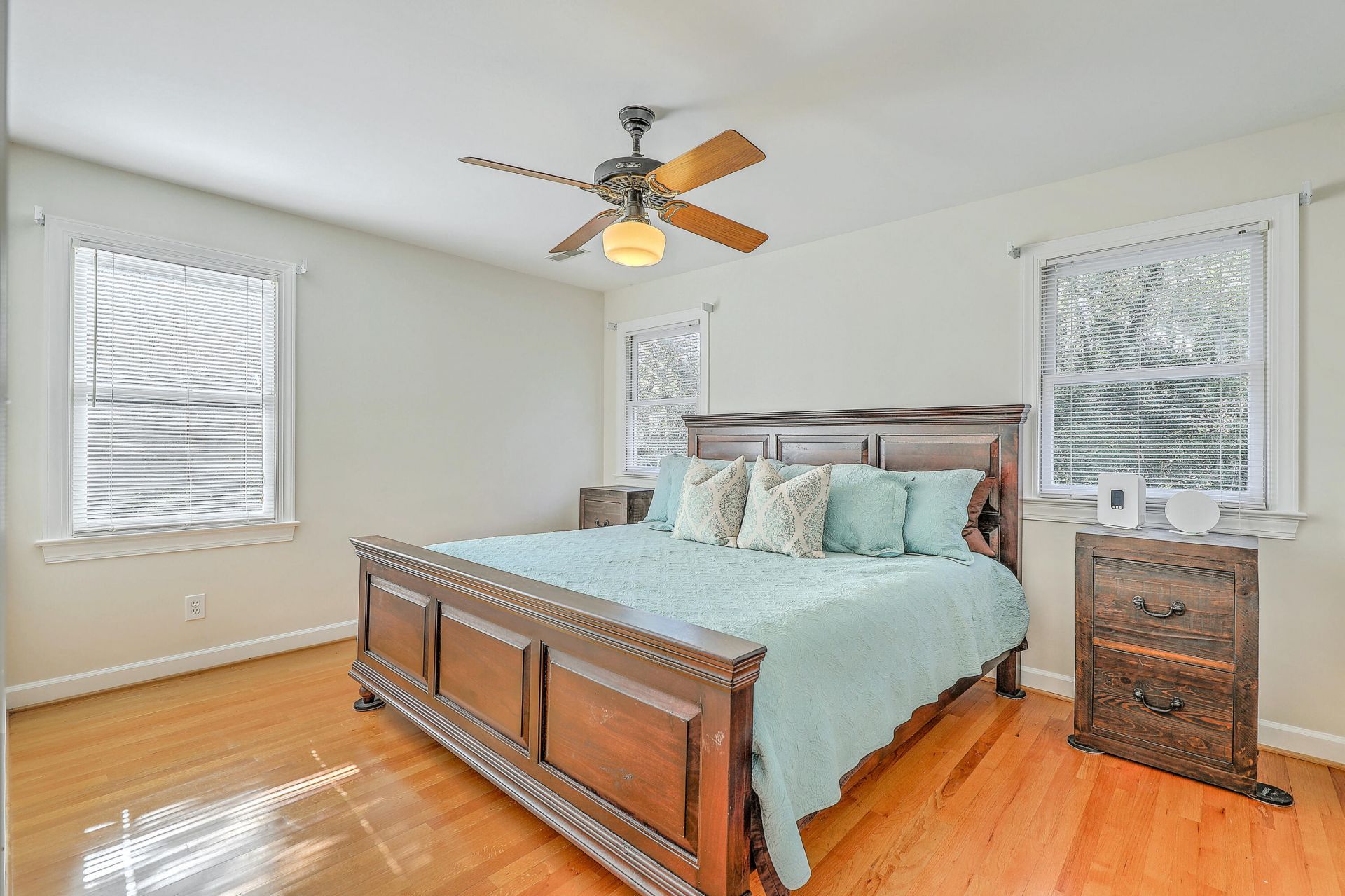 317 Rutherford Street Photo 38