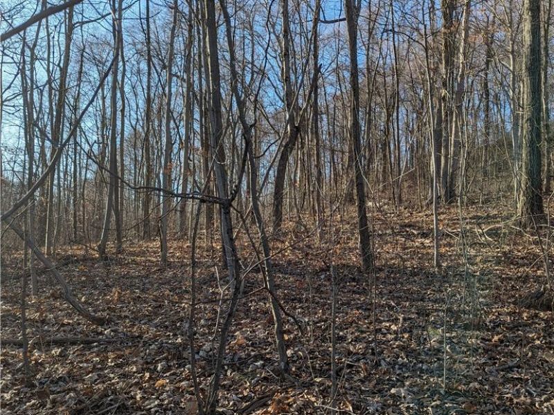 65130 Batesville Road Road, Unit 31, Quaker City, OH 43773 Photo 5