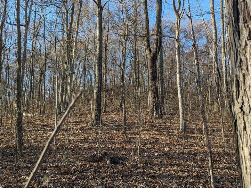 65130 Batesville Road Road, Unit 31, Quaker City, OH 43773 Photo 6