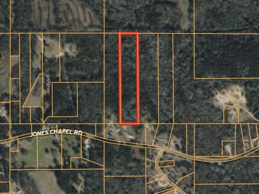 Property Image 6