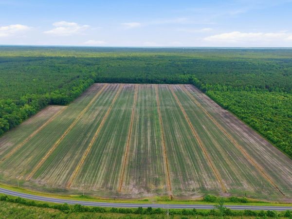 N/A Florence Road, Merritt, NC 28556