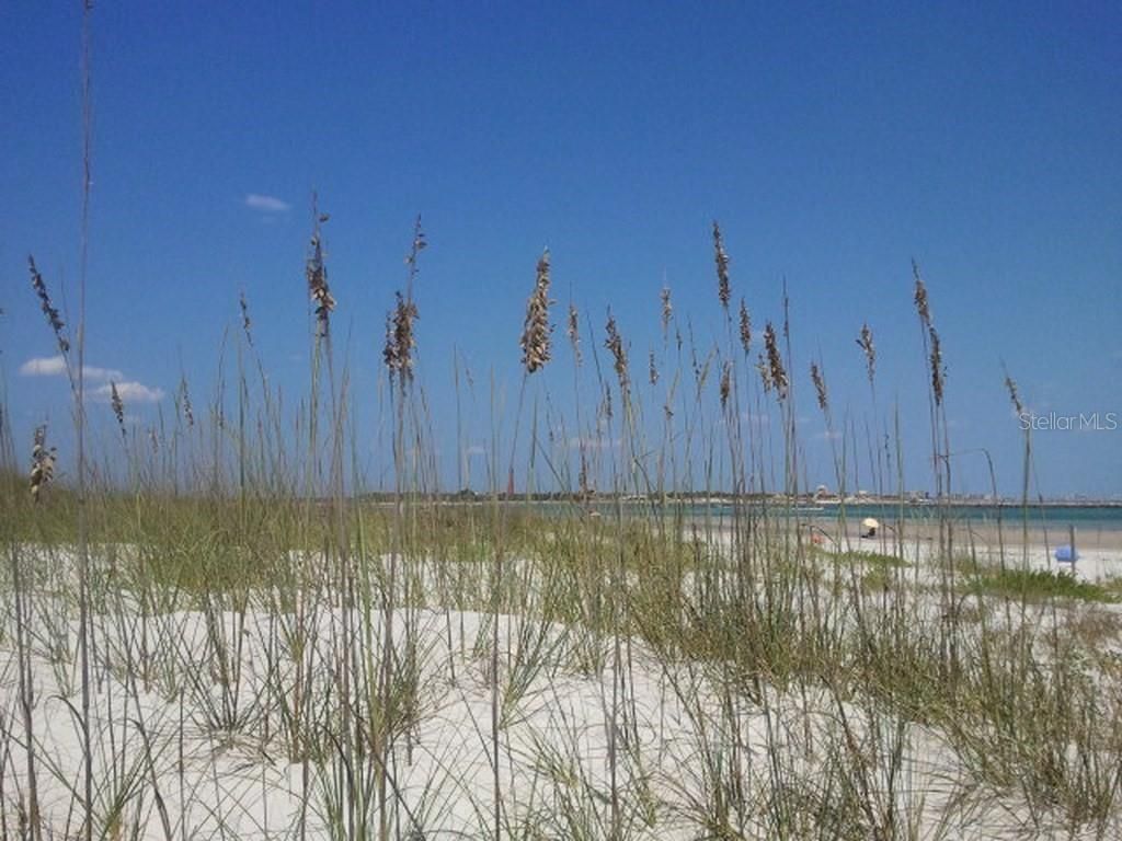 12 Eagle Lane , New Smyrna Beach, FL 32168 Photo