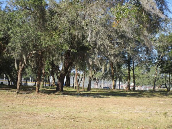 6718 N ROME AVENUE , TAMPA, FL 33604