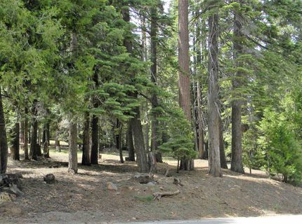 1015 Timber Ridge Road, Lake Almanor, CA 96137 Photo