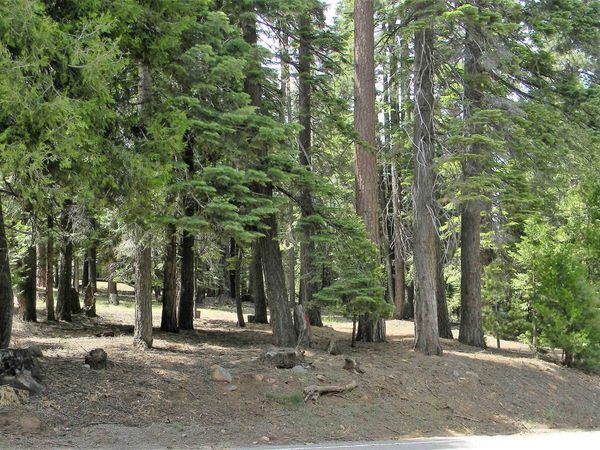 1015 Timber Ridge Road, Lake Almanor, CA 96137