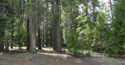 1015 Timber Ridge Road, Lake Almanor, CA 96137 Photo