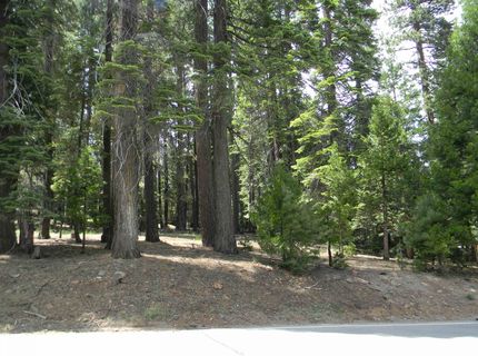 1015 Timber Ridge Road, Lake Almanor, CA 96137 Photo