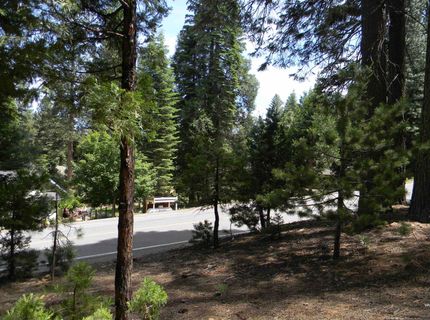 1015 Timber Ridge Road, Lake Almanor, CA 96137 Photo