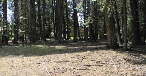 1015 Timber Ridge Road, Lake Almanor, CA 96137 Photo
