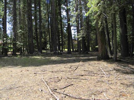 1015 Timber Ridge Road, Lake Almanor, CA 96137 Photo