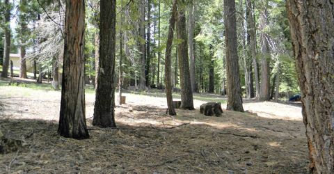 1015 Timber Ridge Road, Lake Almanor, CA 96137 Photo