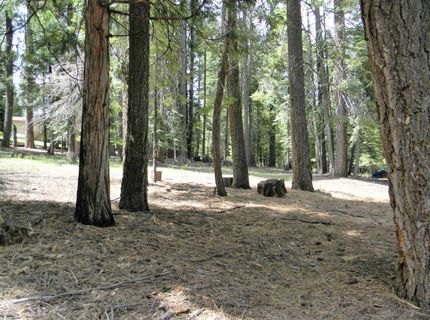 1015 Timber Ridge Road, Lake Almanor, CA 96137 Photo