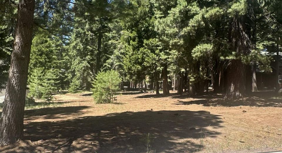 1113 Fairway Pines Road, Lake Almanor, CA 96137 Photo