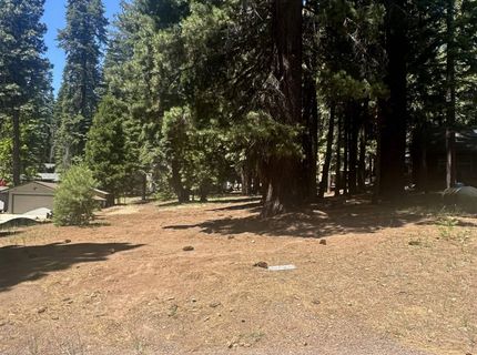 1113 Fairway Pines Road, Lake Almanor, CA 96137 Photo