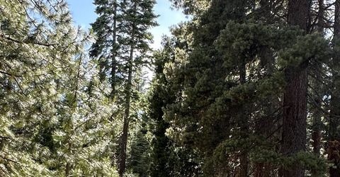 1113 Fairway Pines Road, Lake Almanor, CA 96137 Photo
