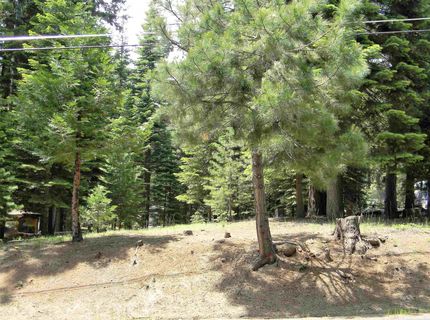 719 Peninsula Drive, Lake Almanor, CA 96137 Photo