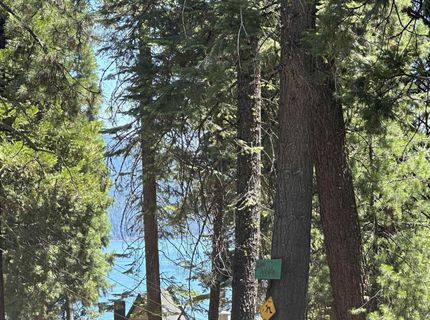 719 Peninsula Drive, Lake Almanor, CA 96137 Photo