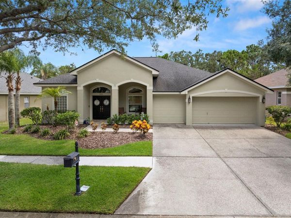 10516 ROCHESTER WAY , TAMPA, FL 33626