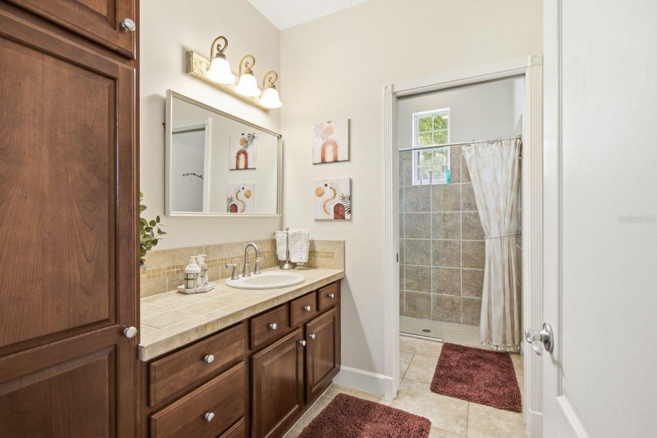 3480 Tanglewood Trail , Palm Harbor, FL 34685 Photo
