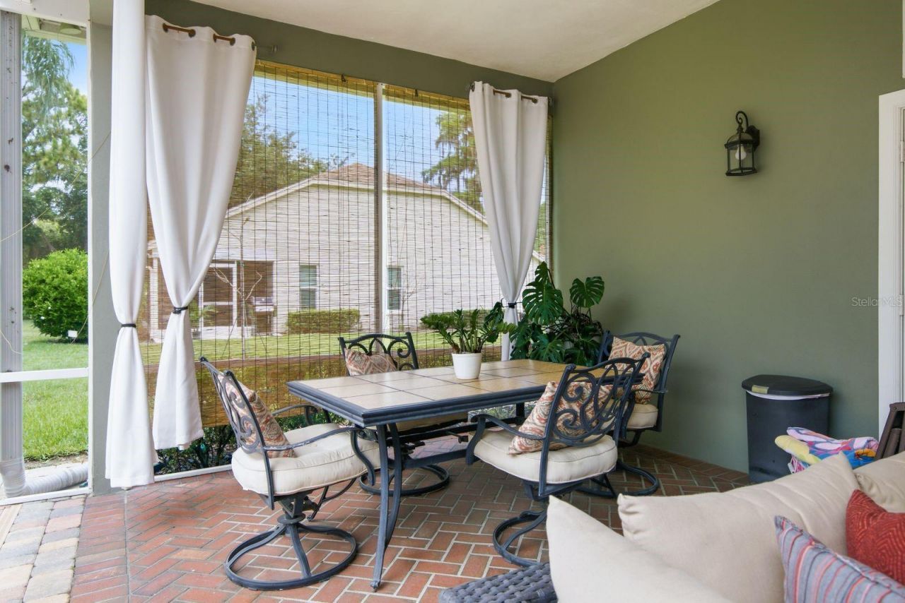 3480 Tanglewood Trail , Palm Harbor, FL 34685 Photo