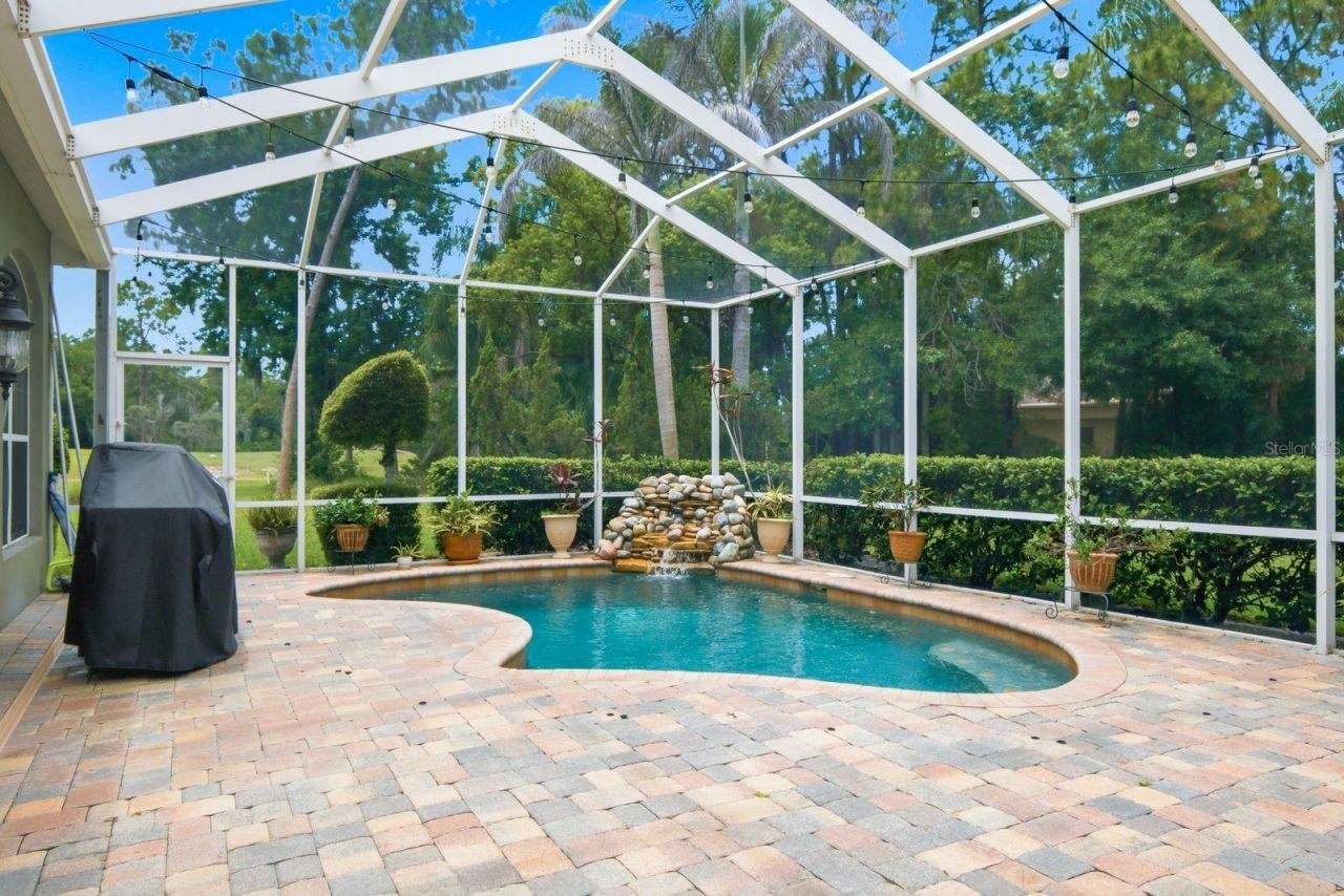 3480 Tanglewood Trail , Palm Harbor, FL 34685 Photo