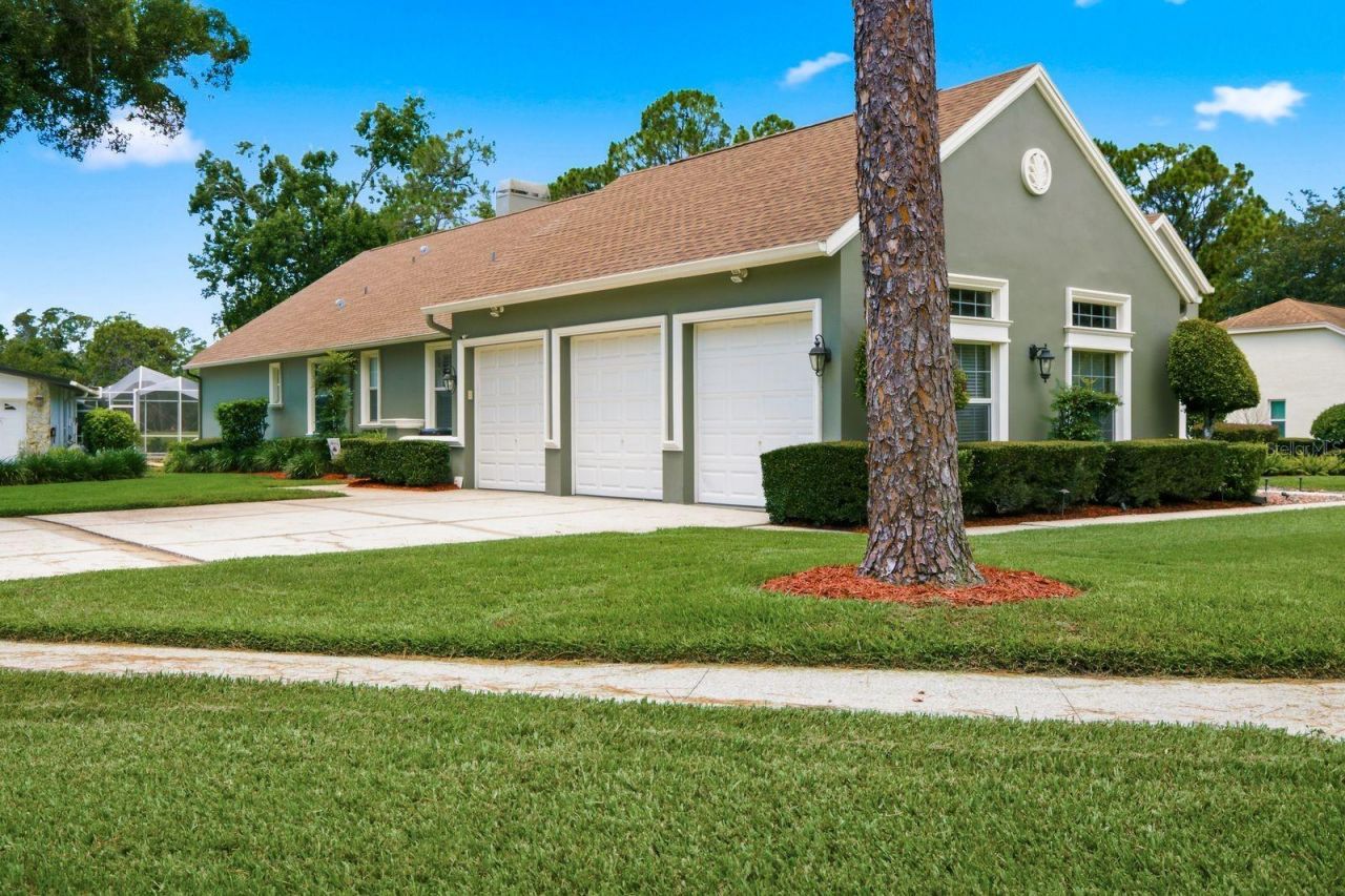 3480 Tanglewood Trail , Palm Harbor, FL 34685 Photo