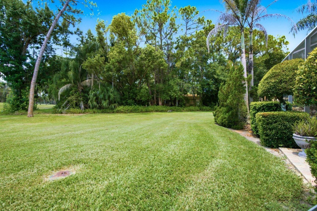 3480 Tanglewood Trail , Palm Harbor, FL 34685 Photo