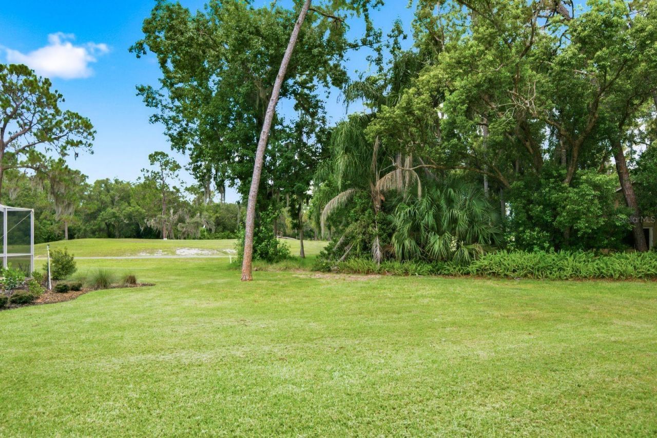 3480 Tanglewood Trail , Palm Harbor, FL 34685 Photo