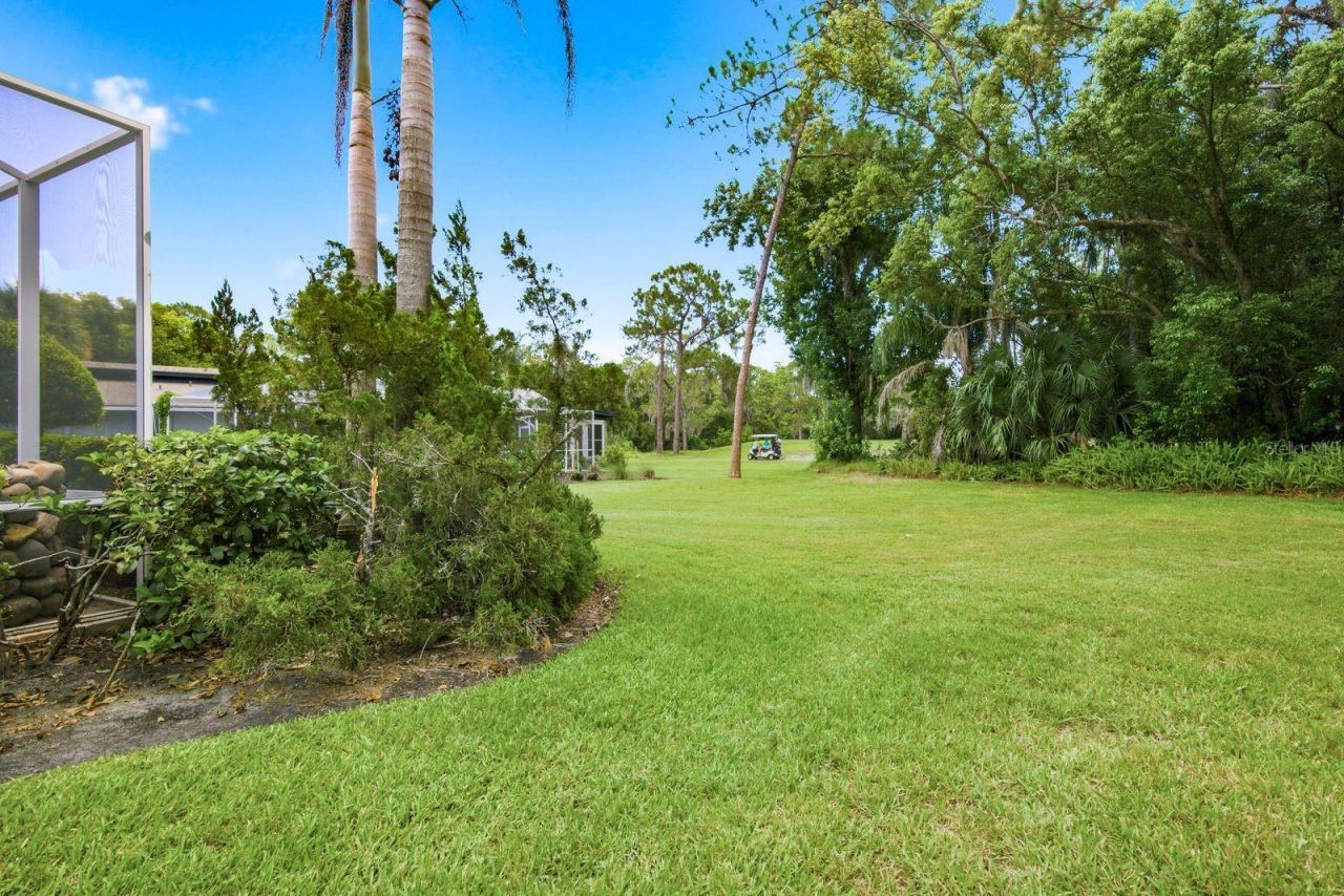 3480 Tanglewood Trail , Palm Harbor, FL 34685 Photo