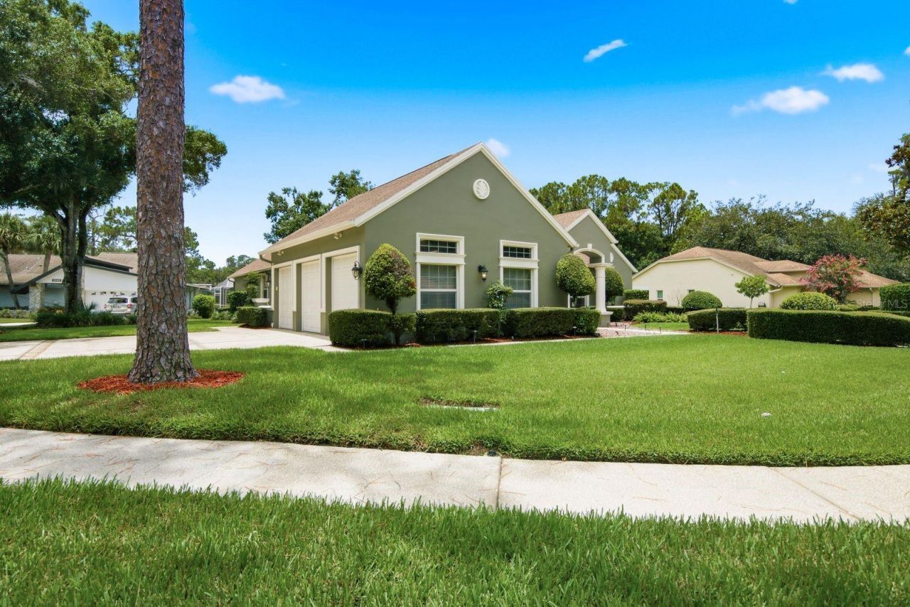 3480 Tanglewood Trail , Palm Harbor, FL 34685 Photo