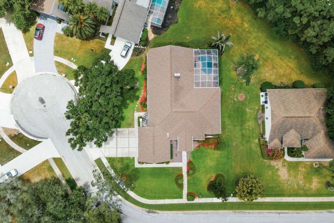 3480 Tanglewood Trail , Palm Harbor, FL 34685 Photo