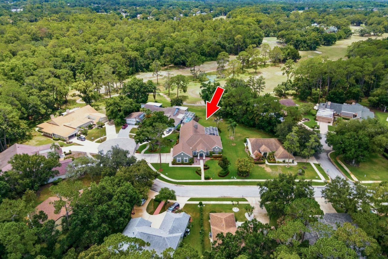 3480 Tanglewood Trail , Palm Harbor, FL 34685 Photo