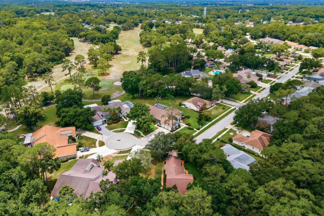 3480 Tanglewood Trail , Palm Harbor, FL 34685 Photo
