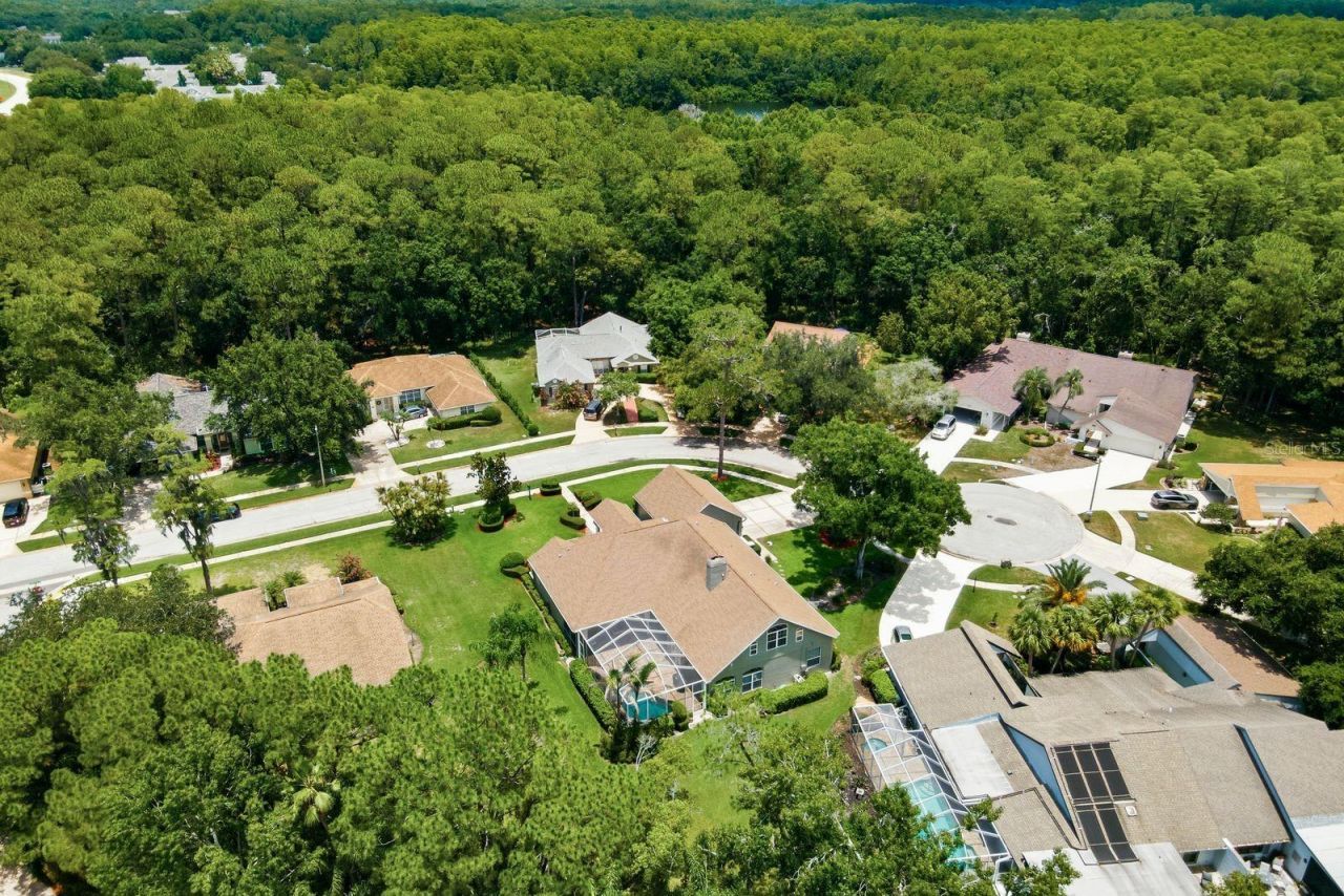 3480 Tanglewood Trail , Palm Harbor, FL 34685 Photo